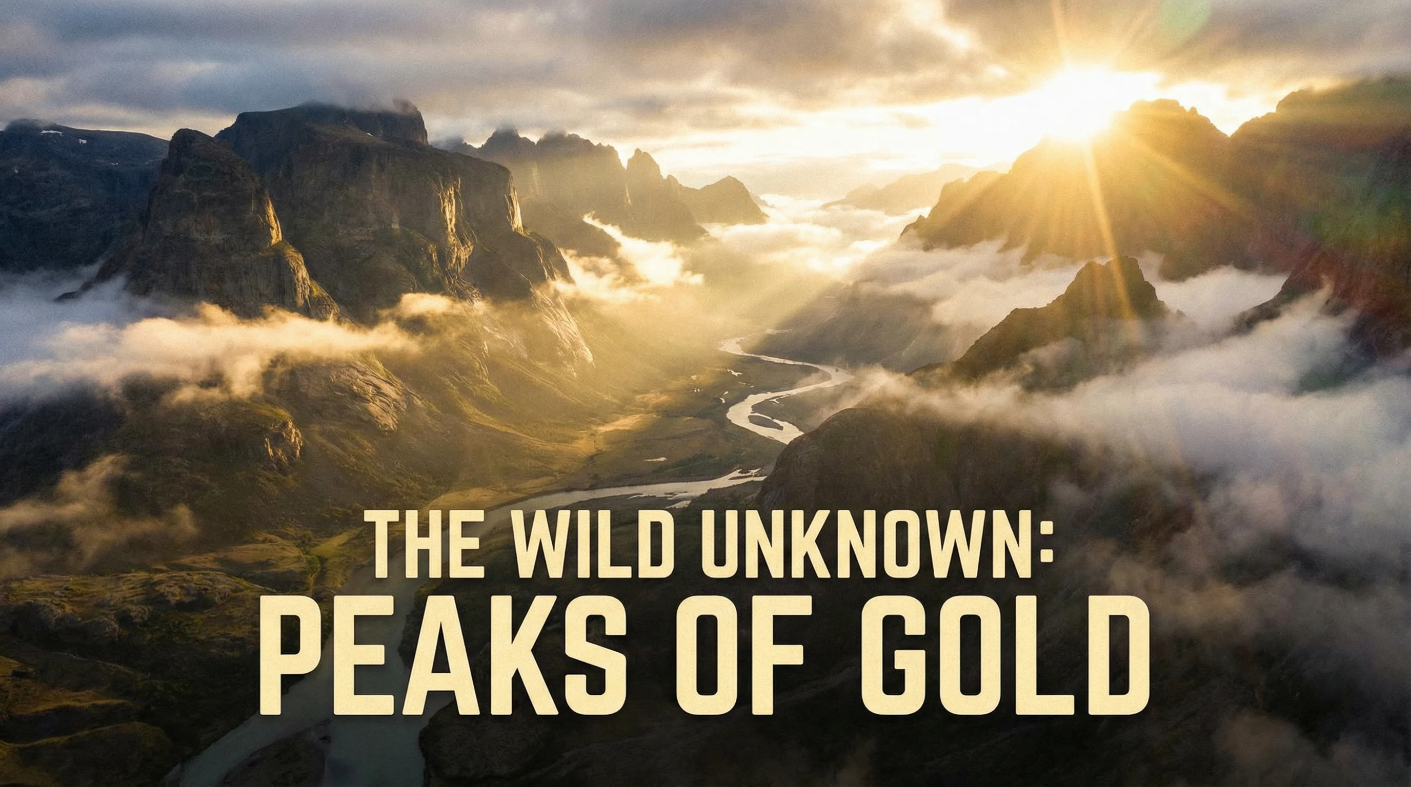 麻豆探花精选内容展示